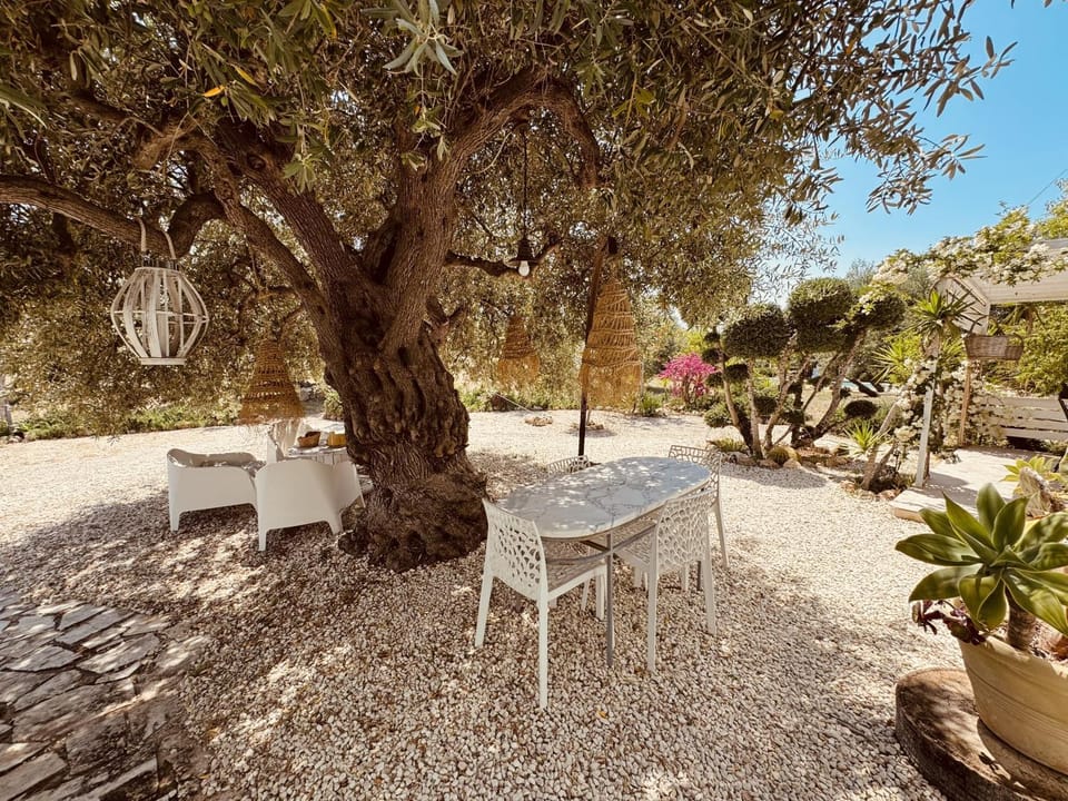 Garden, Garden view