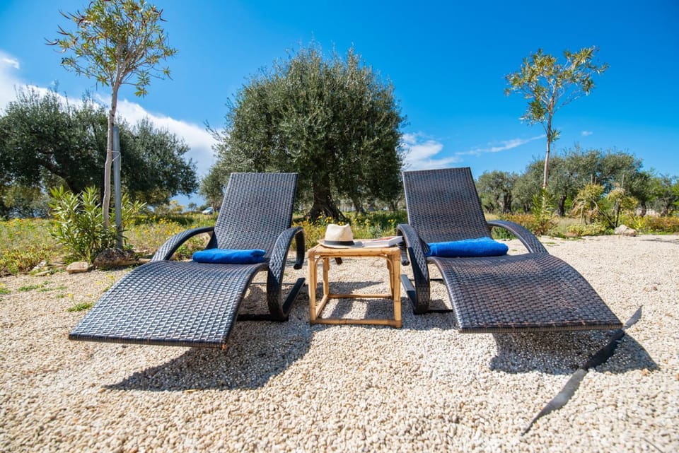 Garden, Seating area, Garden view, Swimming pool