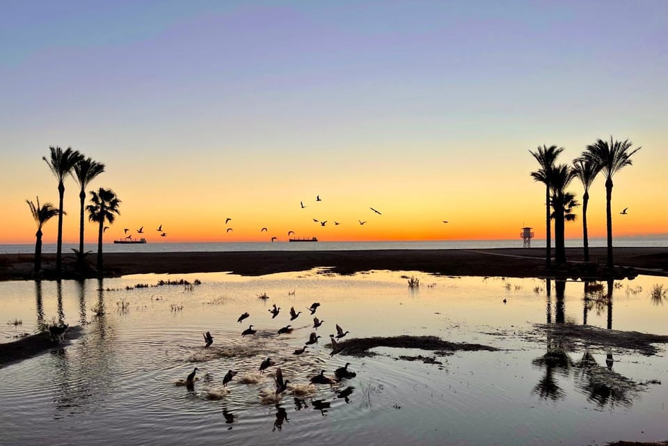 Natural landscape, Beach, Hiking, Sunrise, Sunset