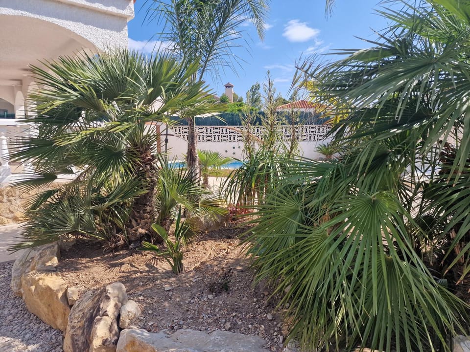 Patio, Garden, Garden view