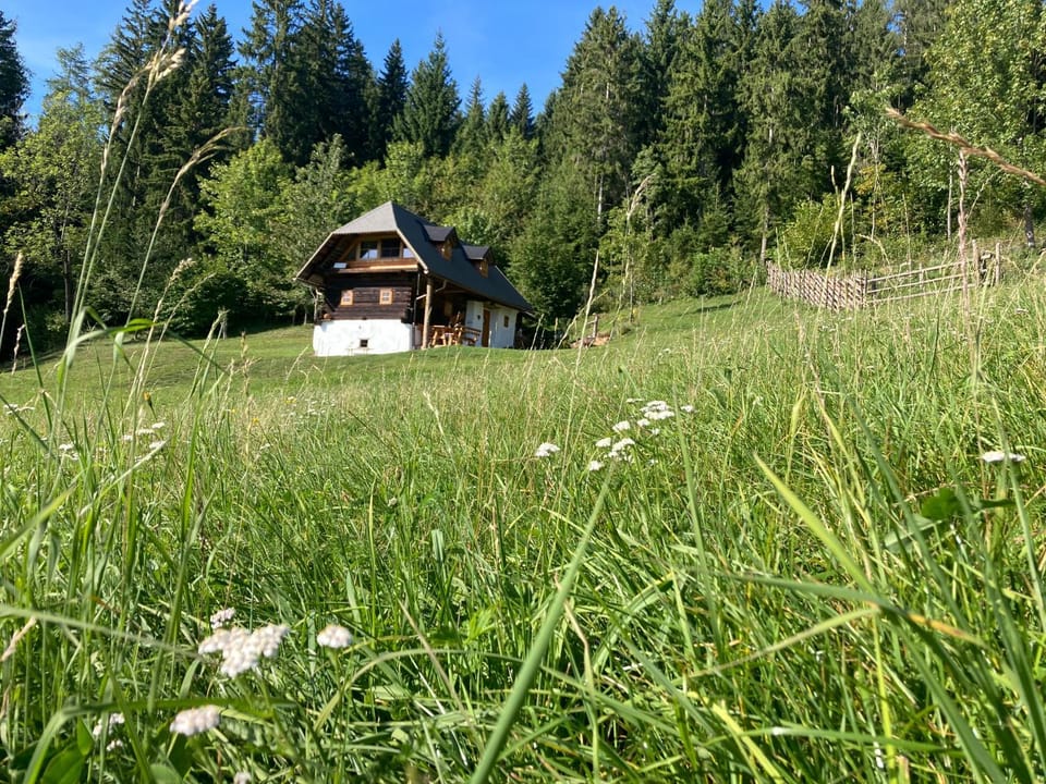 Property building, Natural landscape