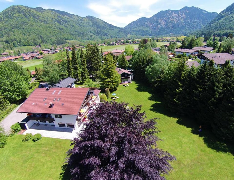 Bird's eye view, Garden