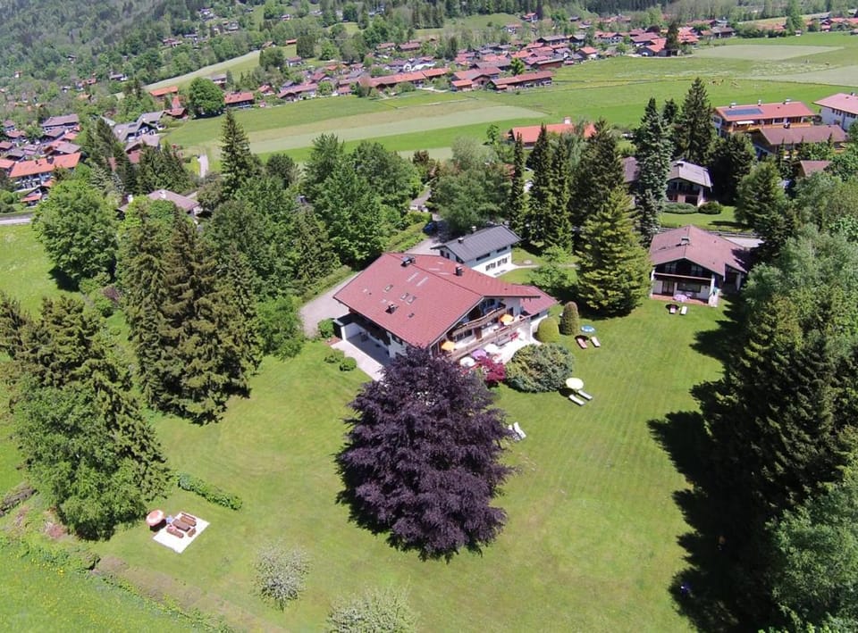 Bird's eye view, Garden