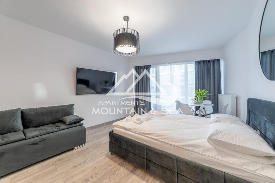 Living room, Area and facilities