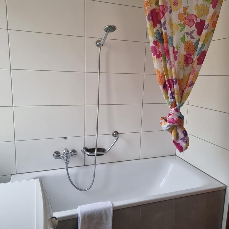 Brienzersee - Direct lake view Apartment in Canton of Bern (Region)