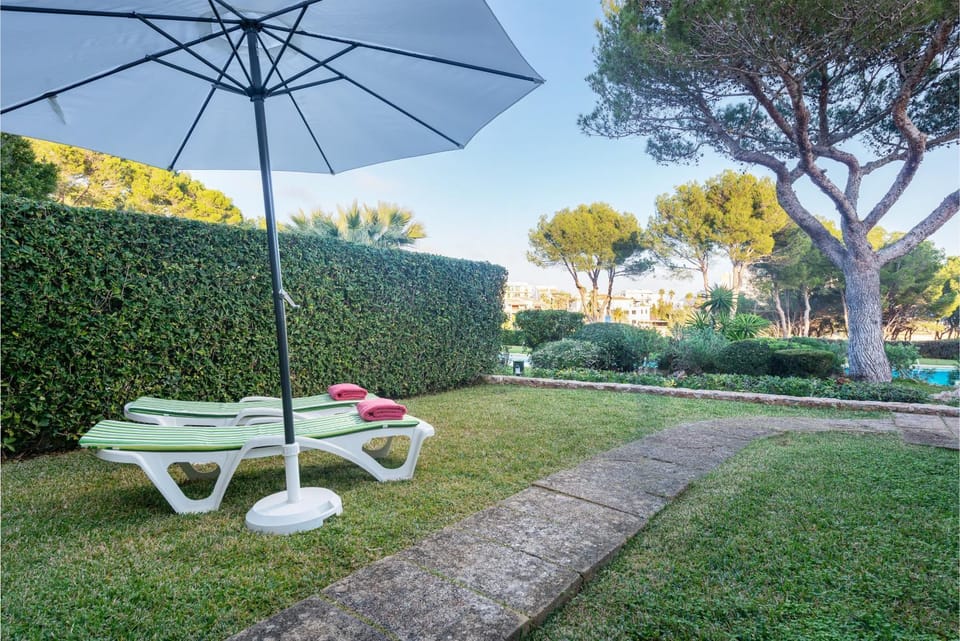 Garden, Garden view, Garden view