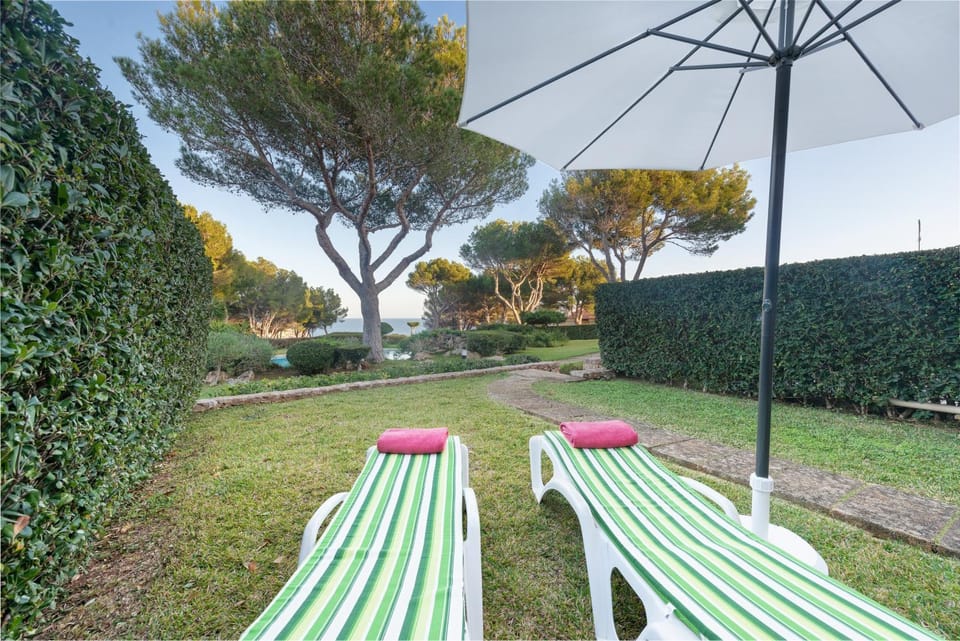 Garden, Garden view, Garden view