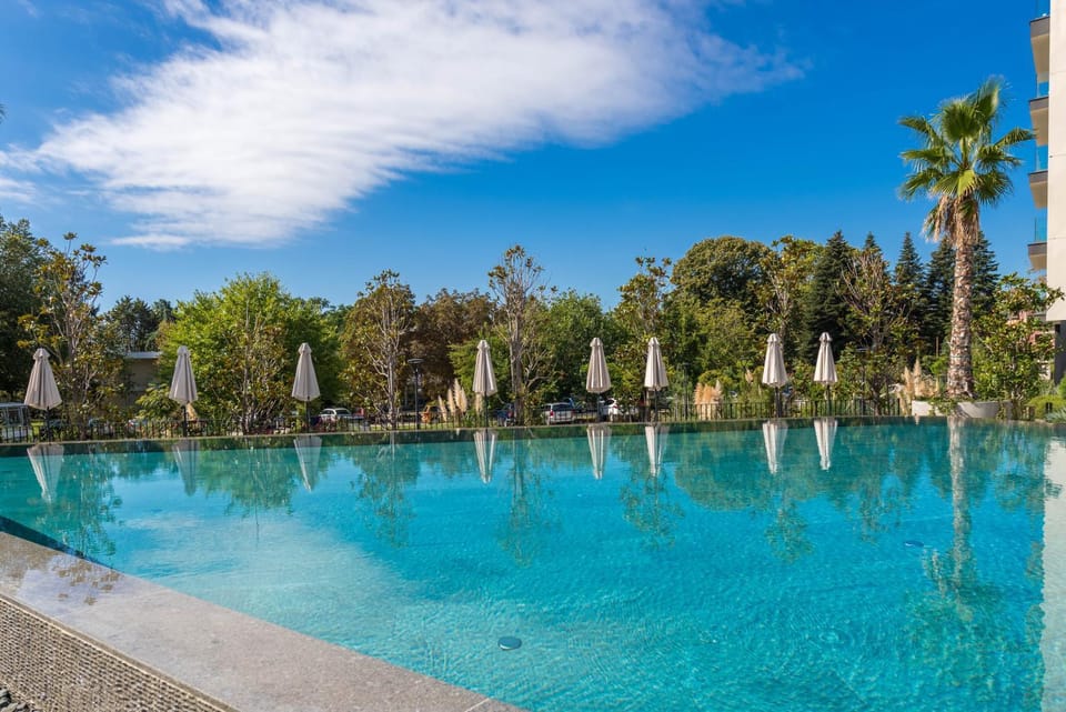Pool view, Swimming pool