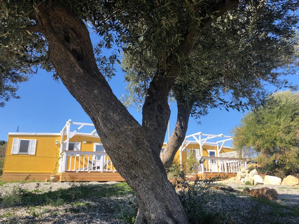 Bungalows by B&B Villa Sveva House in Basilicata