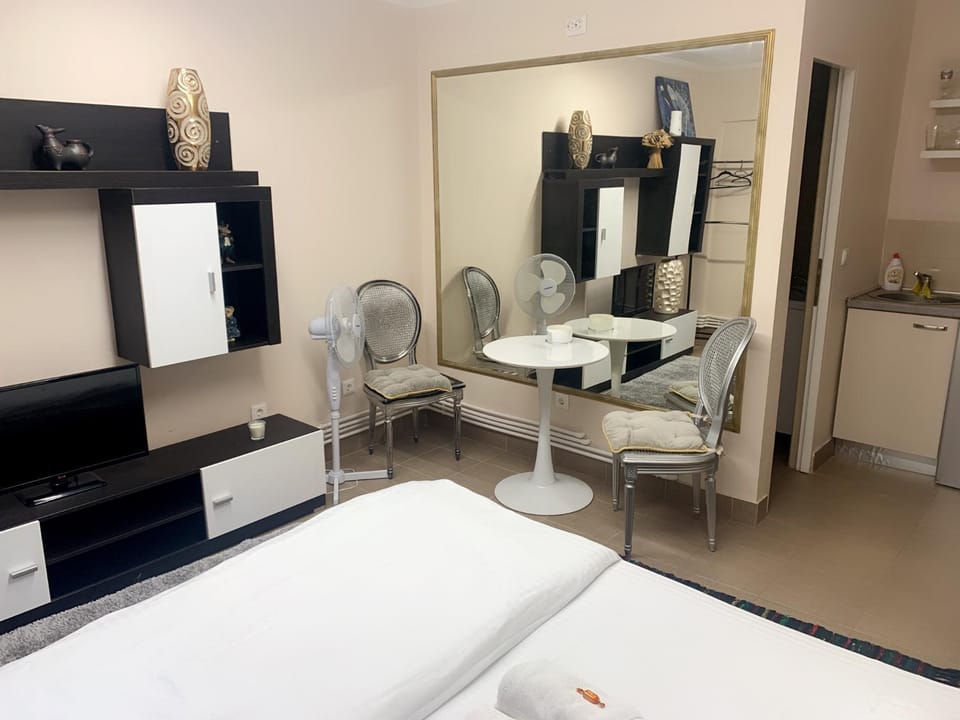 Studio Gaby Apartment in Hungary