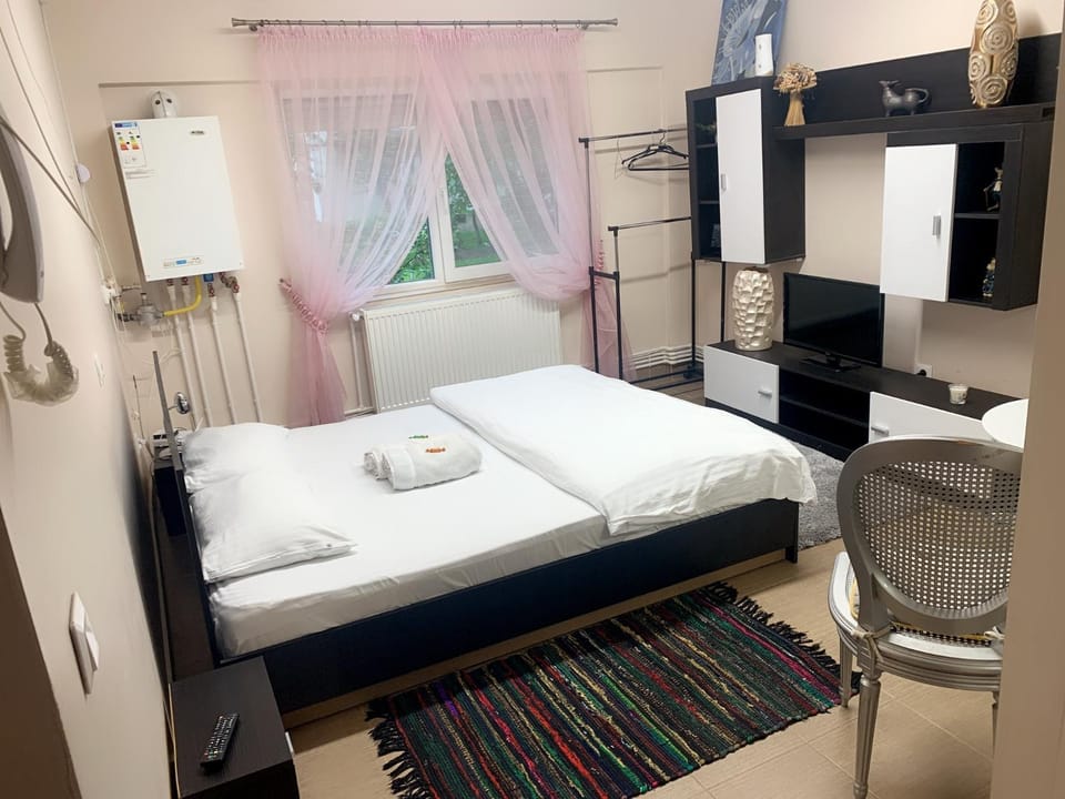 Studio Gaby Apartment in Hungary