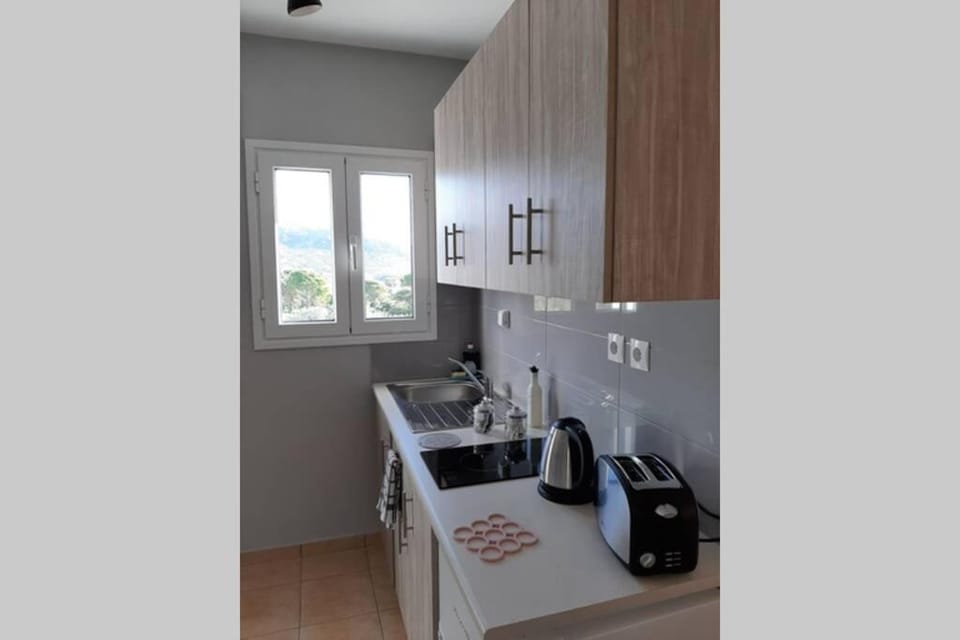 Rodanthy III Apartment in Cephalonia