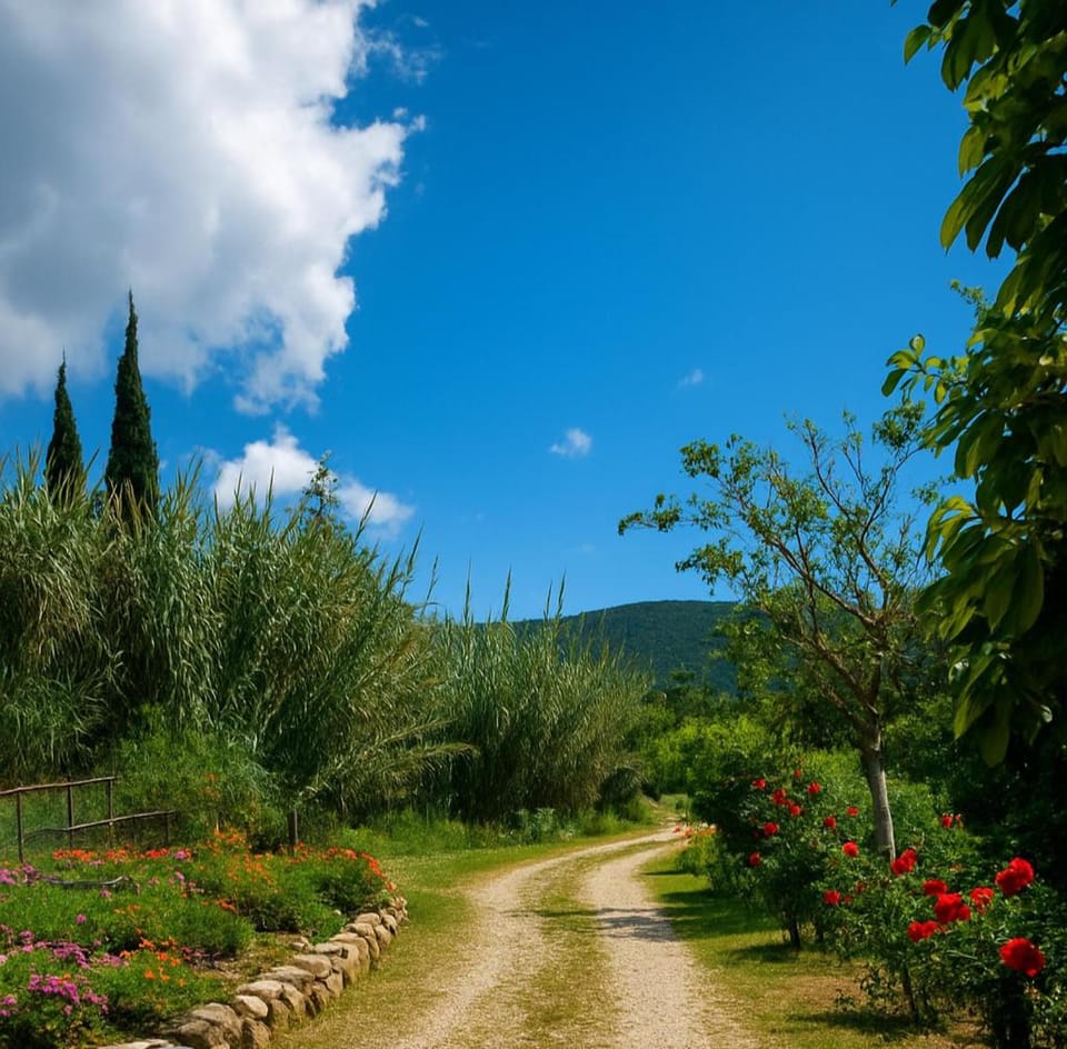 Rodanthy III Apartment in Cephalonia