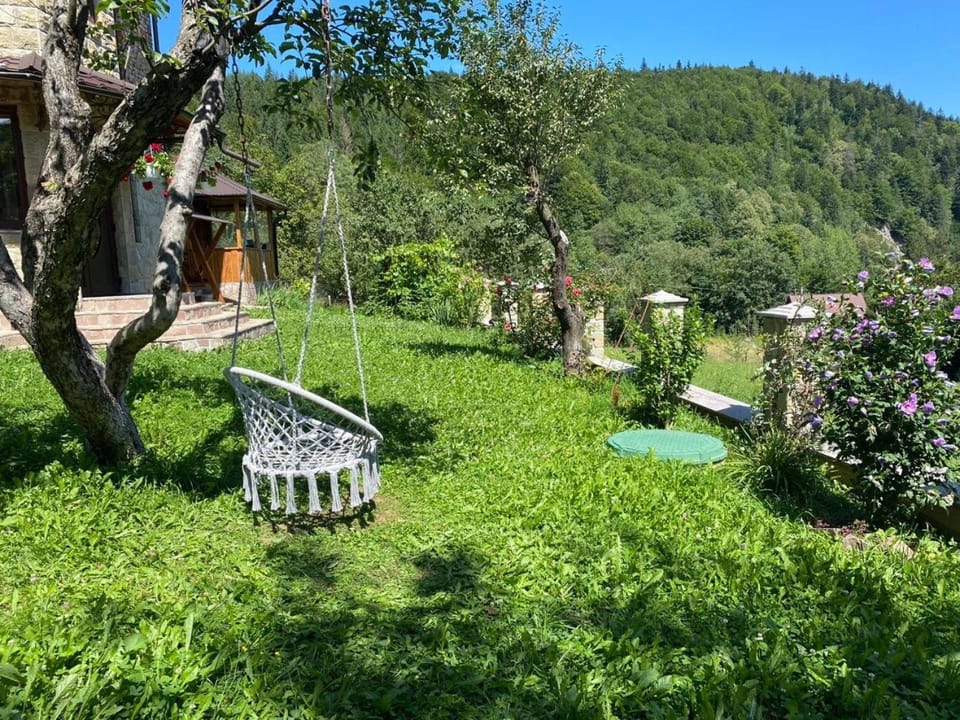 Spring, Garden, Garden view