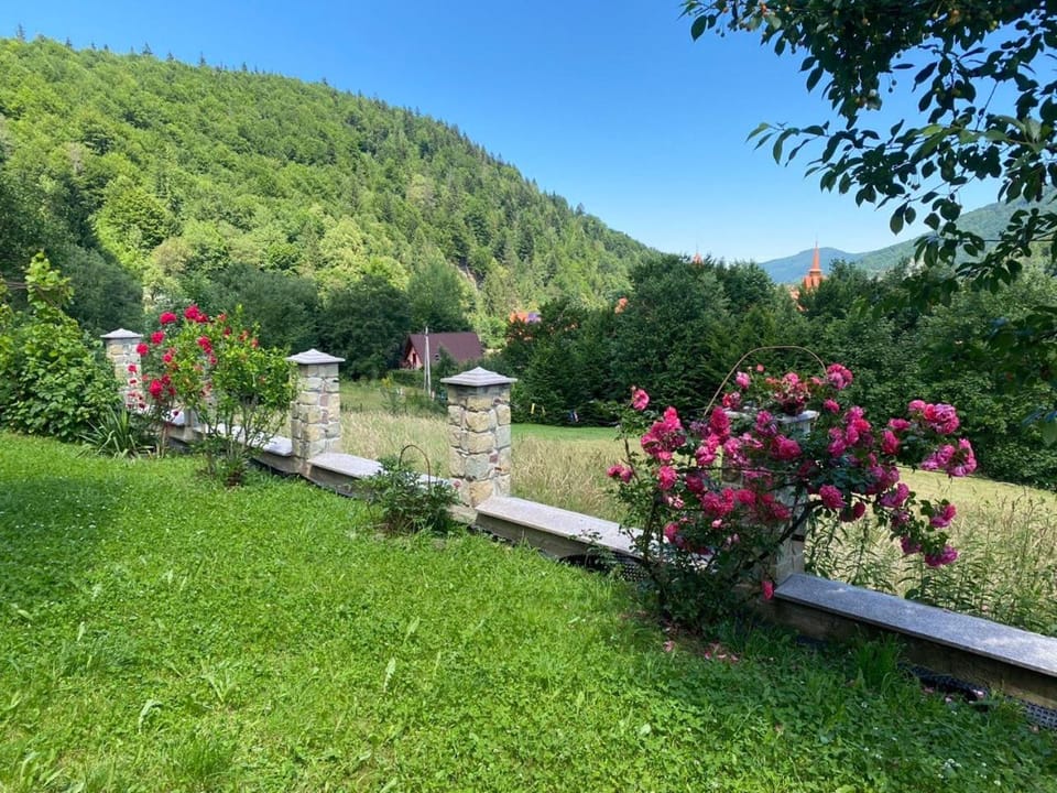 Spring, Day, Natural landscape, Garden, Garden view, Mountain view