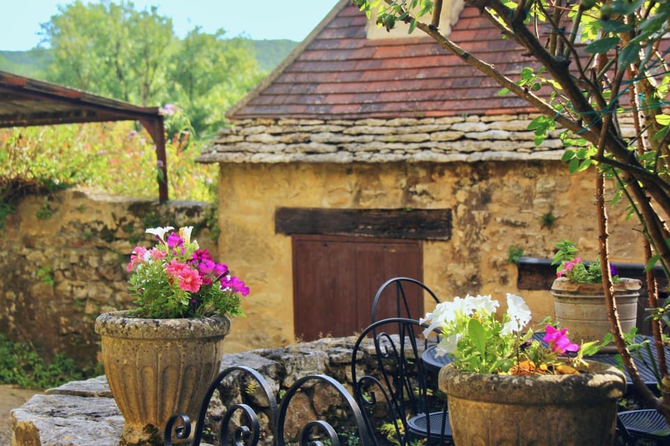 Patio, Garden