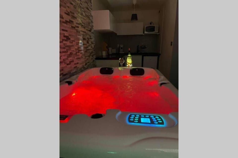 Joli T2, jacuzzi, lit rond, jardin, parking privé, métro Apartment in Toulouse
