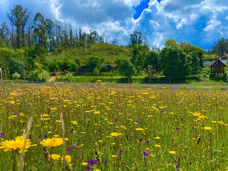 Natural landscape