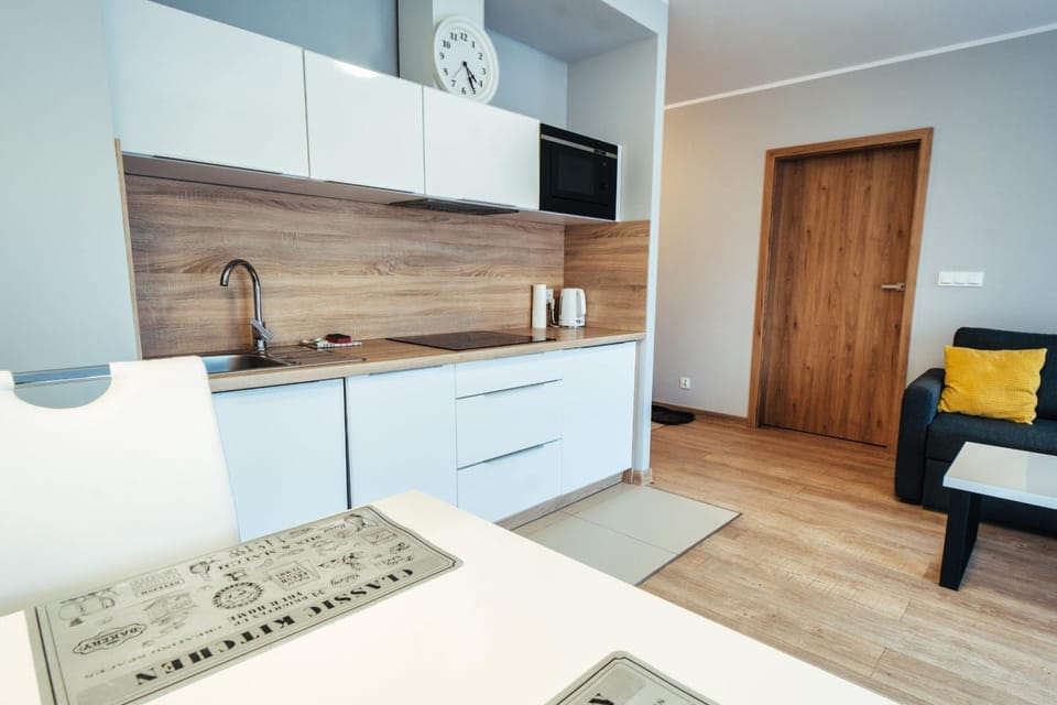 Apartament 19 Szklarska Poręba Apartment in Lower Silesian Voivodeship