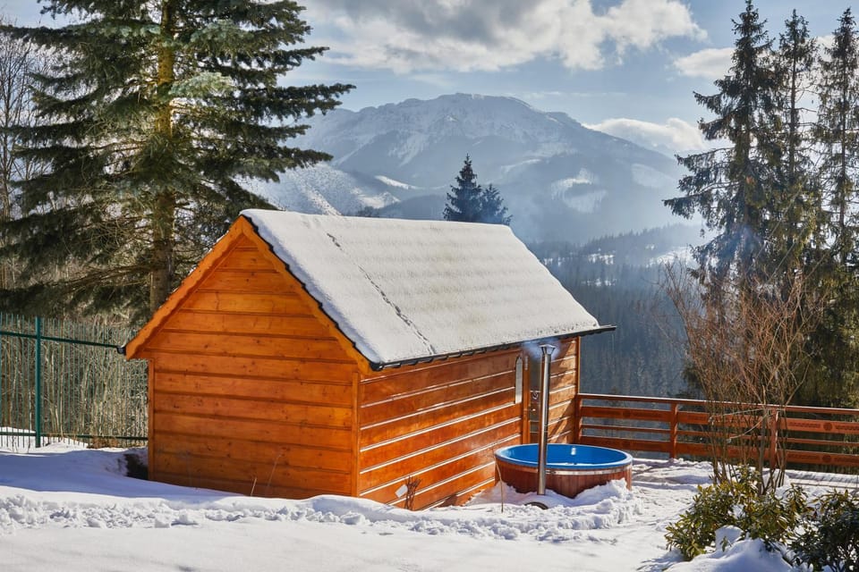 Property building, Winter, Sauna, View (from property/room), Spa and wellness centre/facilities, Mountain view