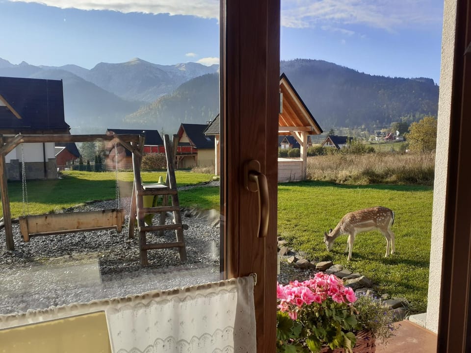Spring, Natural landscape, Garden view, Mountain view