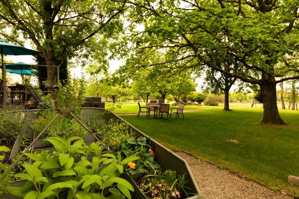 Property building, Garden view