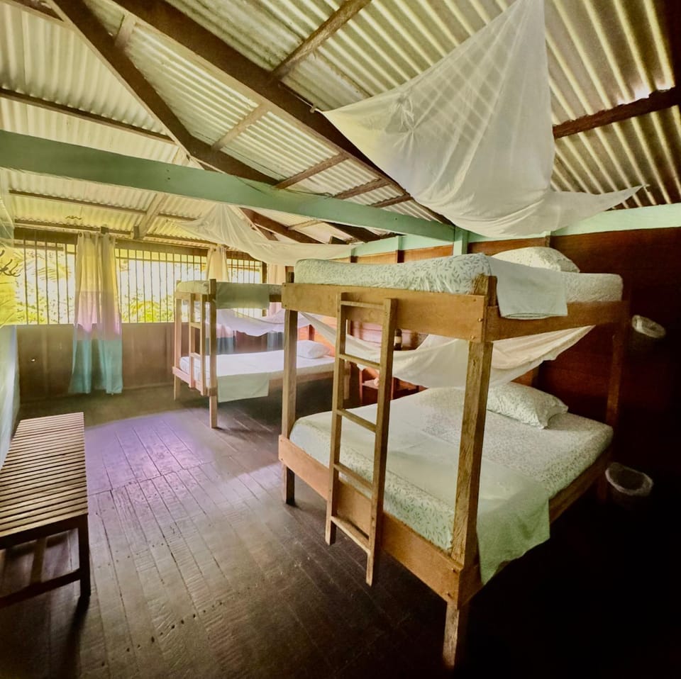 Bed, Photo of the whole room, Bedroom, bunk bed