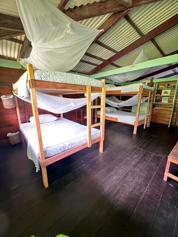 Refugio Mr Jerry Eco House Bed and Breakfast in Choco, Colombia