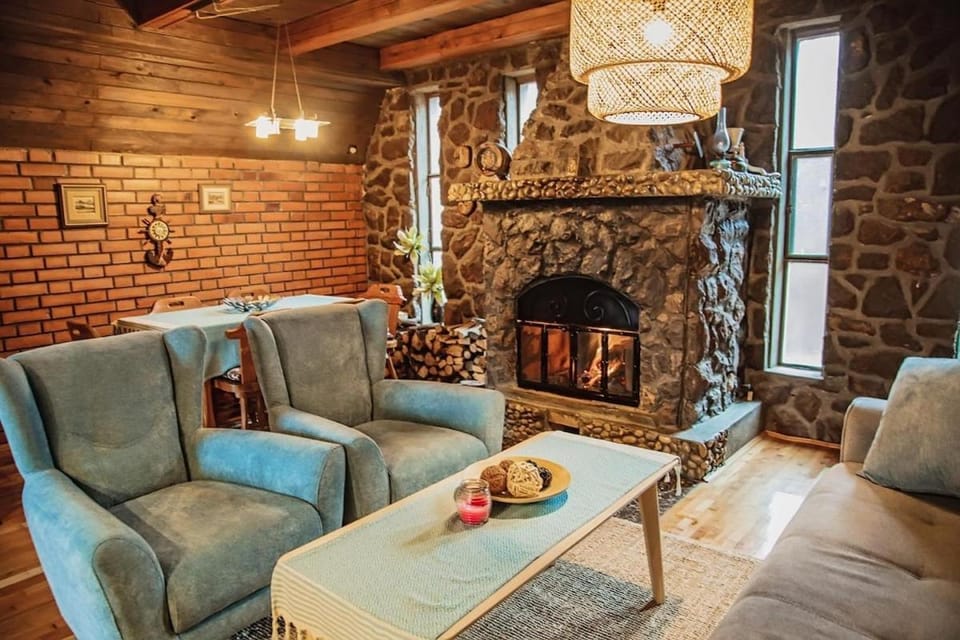 Living room, fireplace