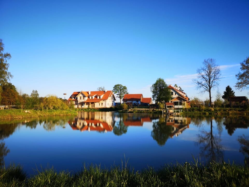 Property building, Natural landscape, View (from property/room)