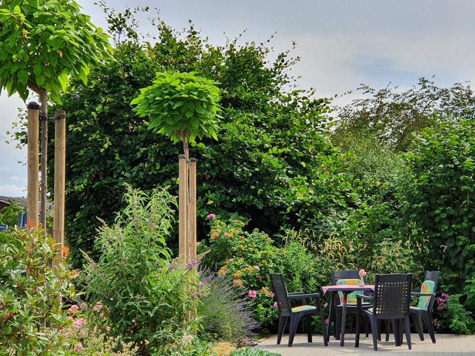 Garden, Balcony/Terrace