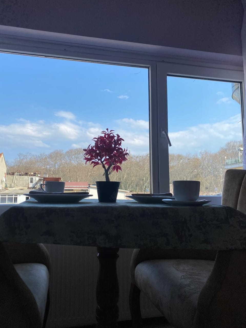 Living room, Seating area, Garden view