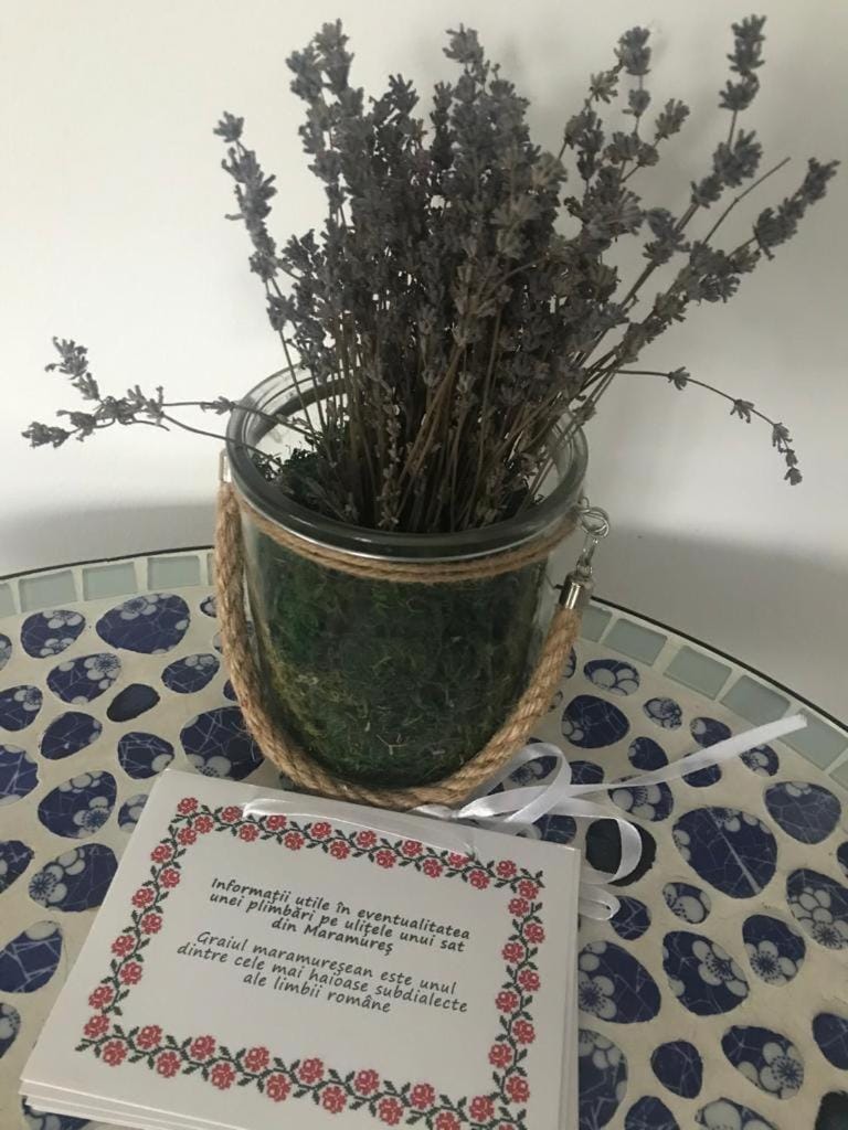 Cununa Văilor Bed and Breakfast in Romania