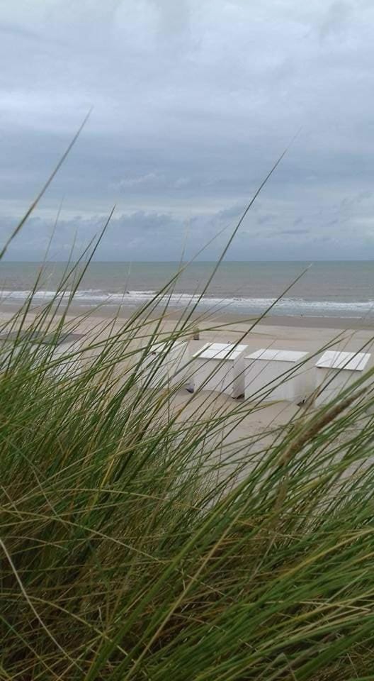 Stacaravan jungle kids nr 425 nieuw prikkelarm autismevriendelijk Chalet in Bredene