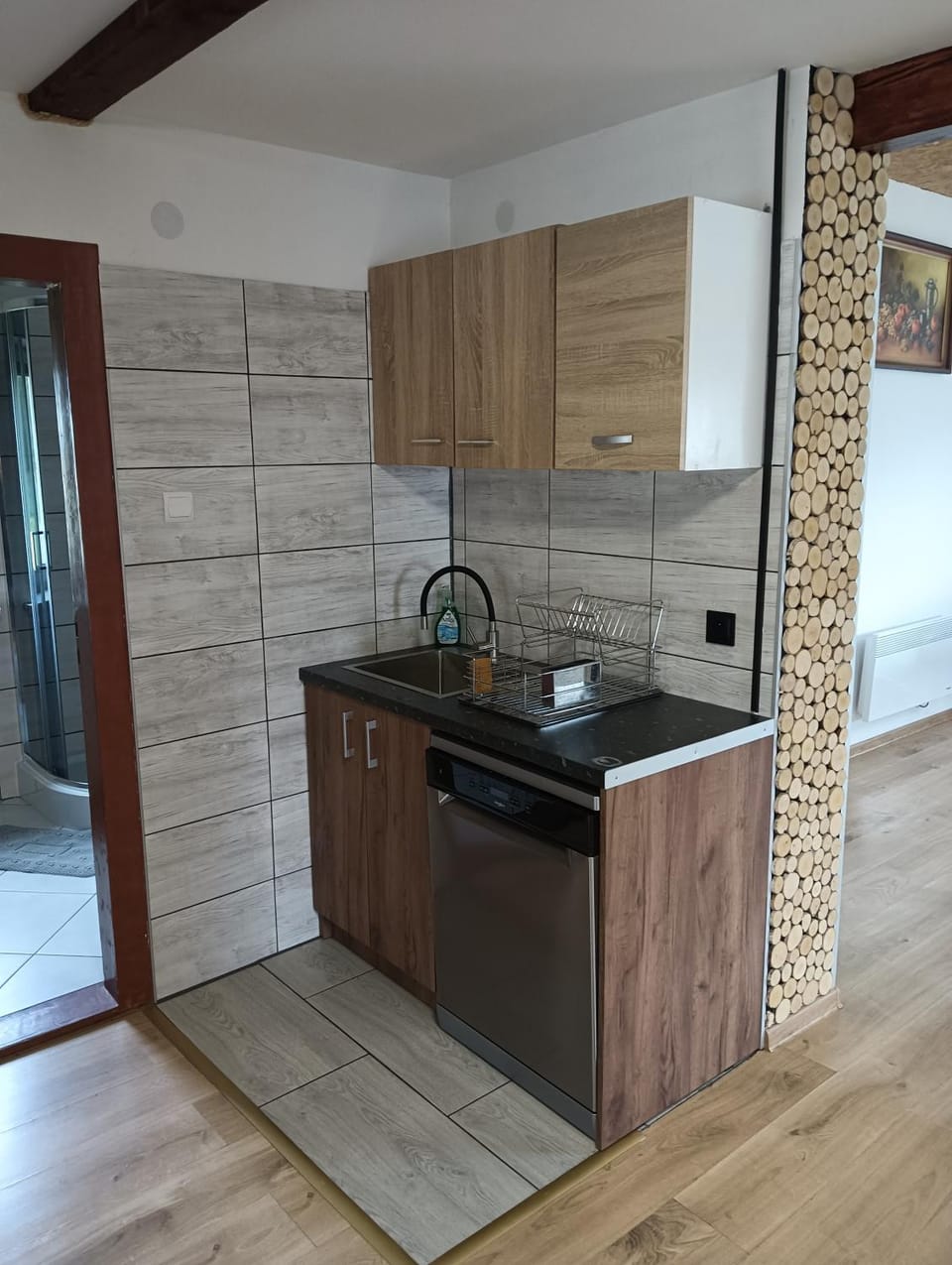 Kitchen or kitchenette, dishwasher