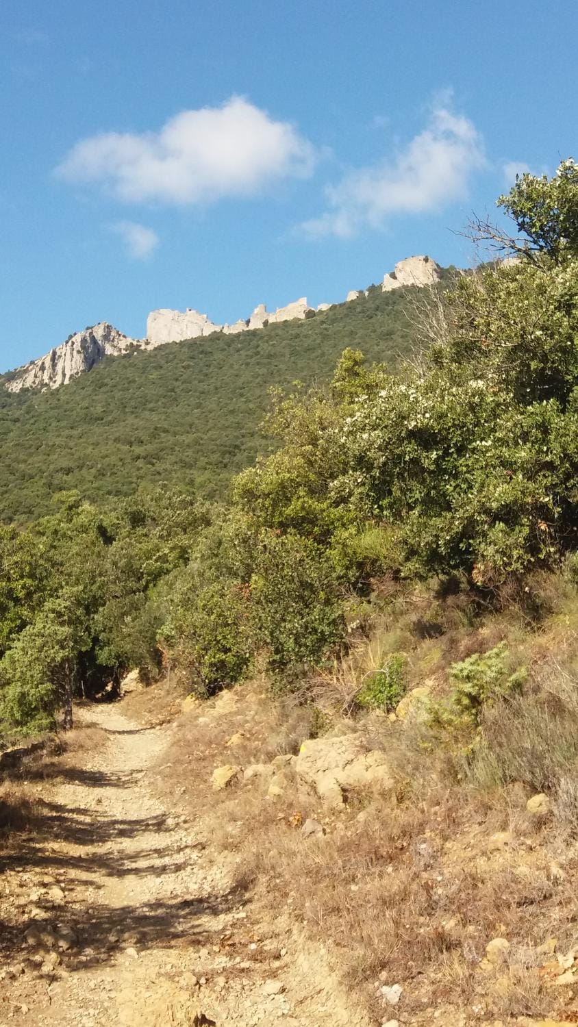 Hiking