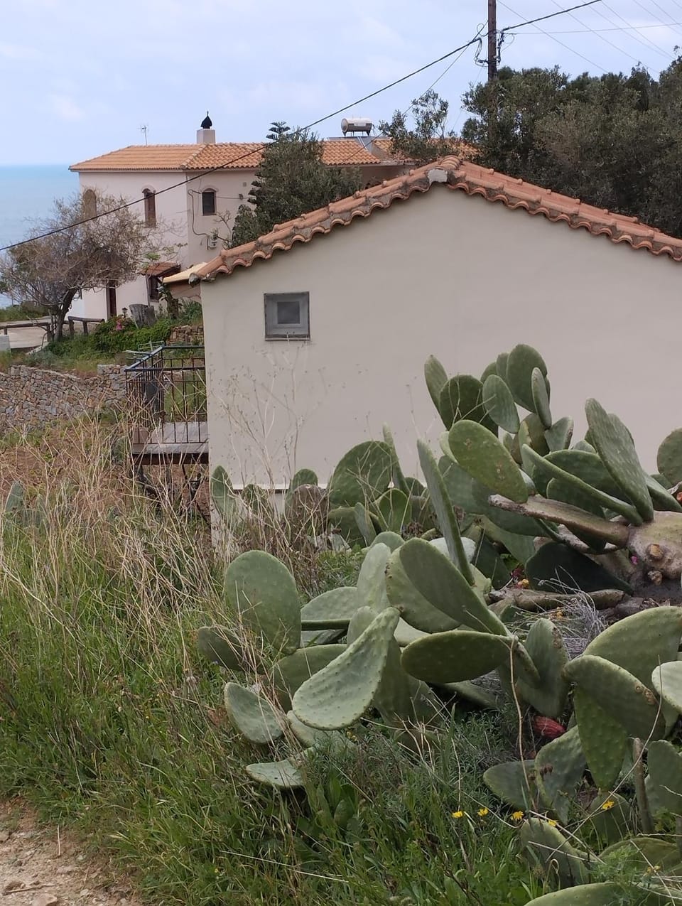 Property building, Natural landscape