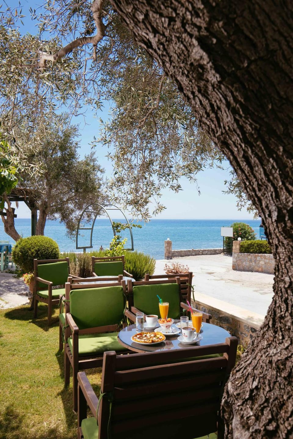 Patio, Food and drinks