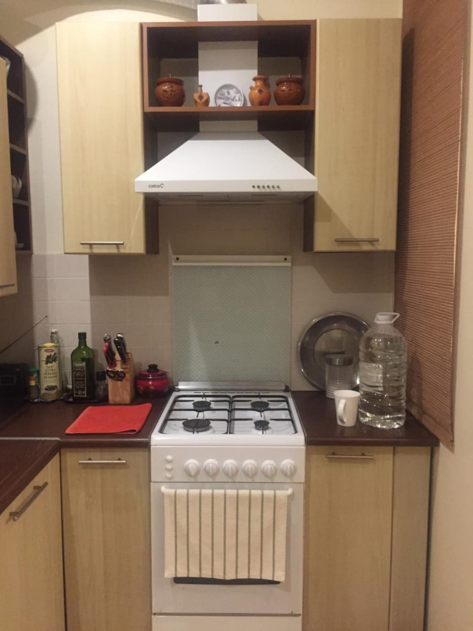 Apartments in a private house Vacation rental in Lviv Oblast