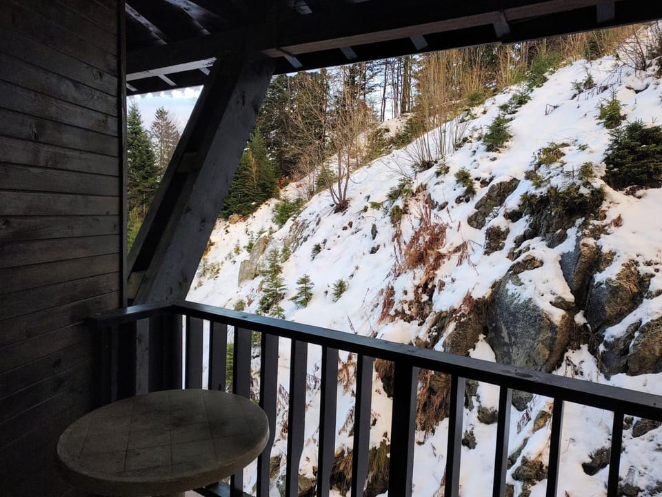 Winter, View (from property/room), Mountain view