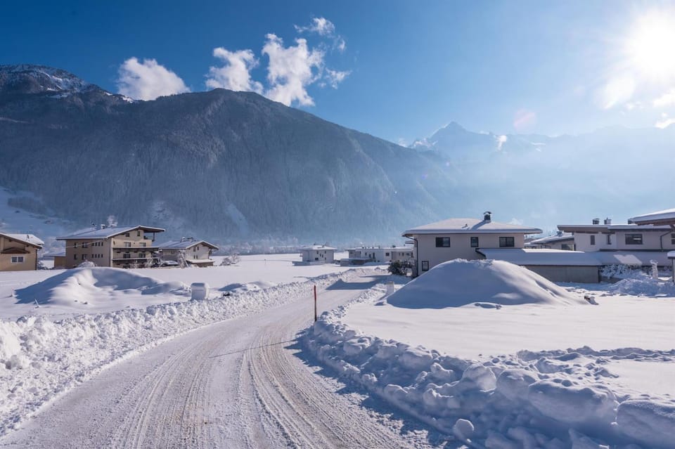 Neighbourhood, Winter