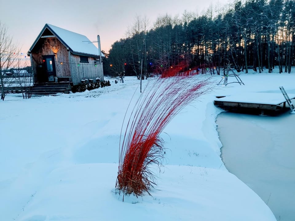 Brīvdienu namiņš ar pirtiņu House in Estonia