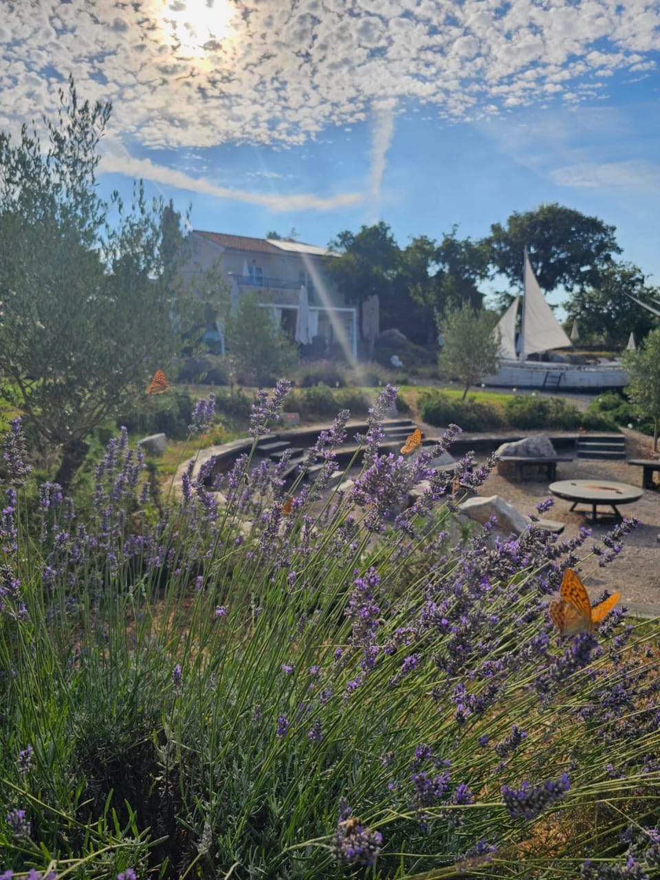 Spring, Day, Natural landscape, Garden, Garden view