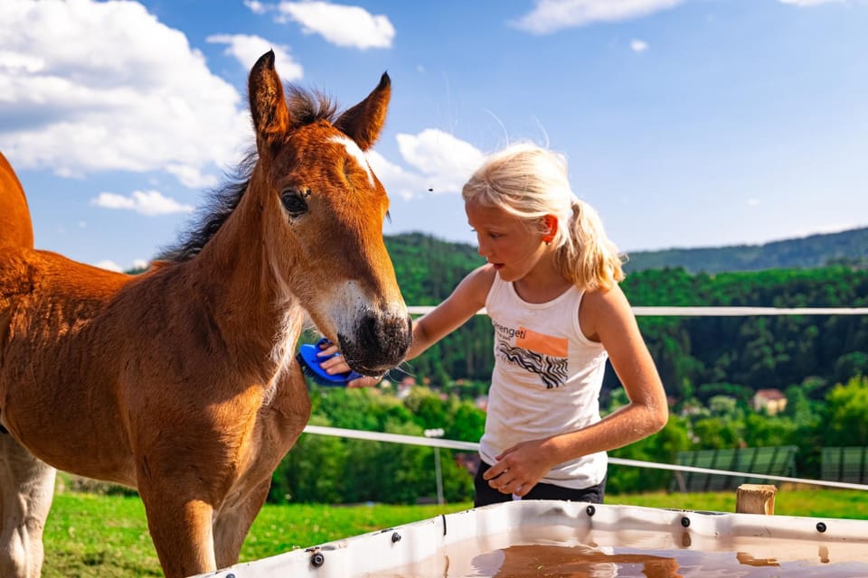 Garden, Animals