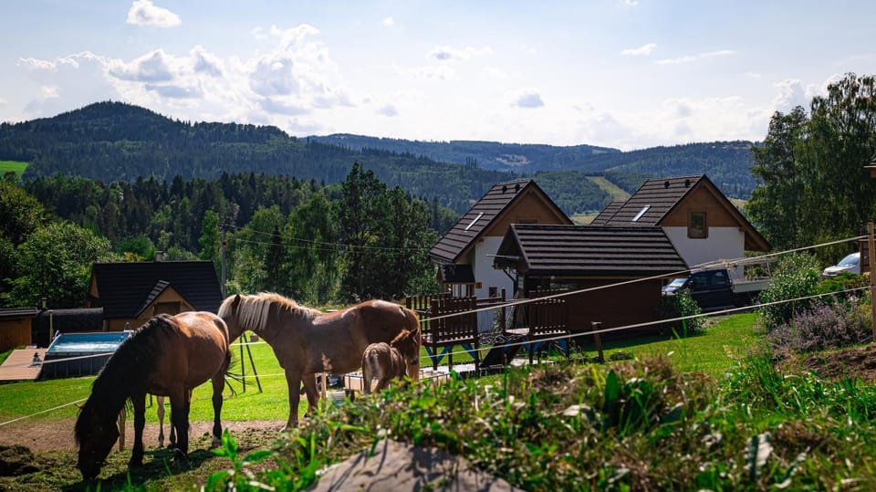 Garden, Animals