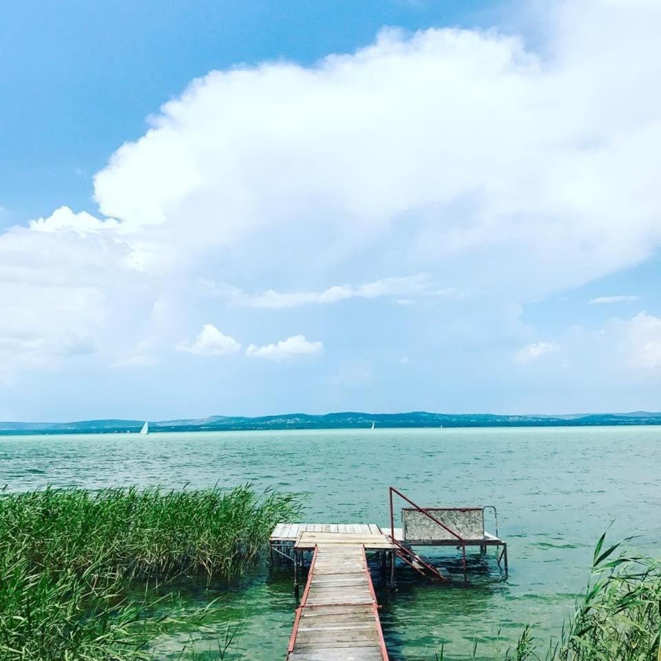 Lake view