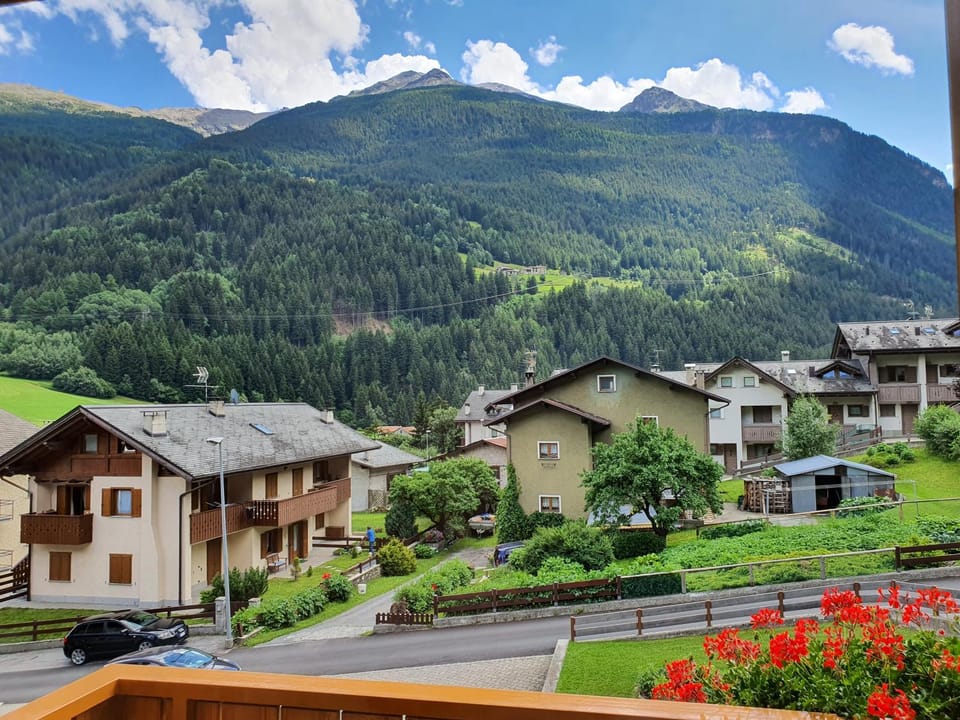 Mountain view