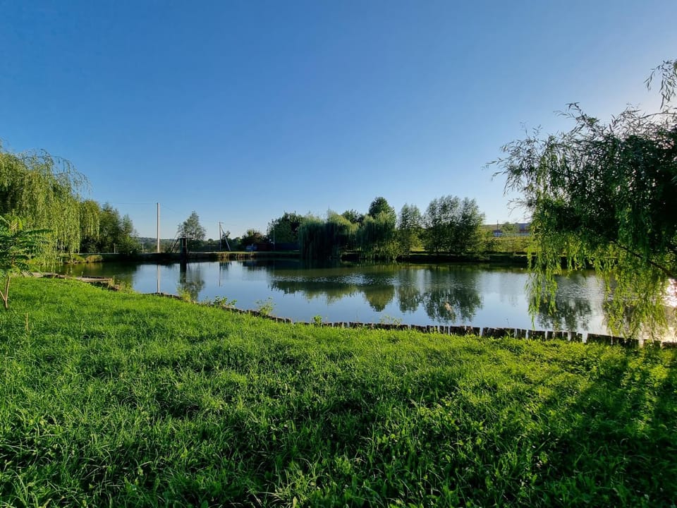 Day, Lake view