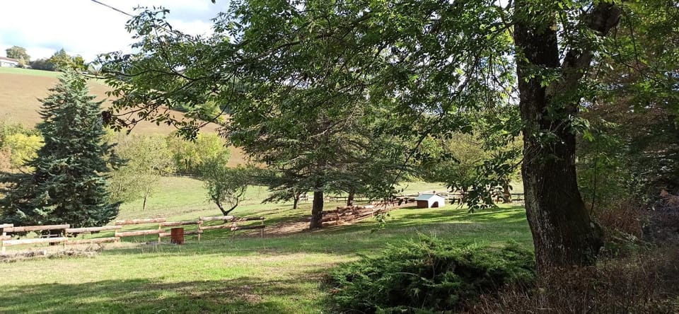 Natural landscape, Photo of the whole room