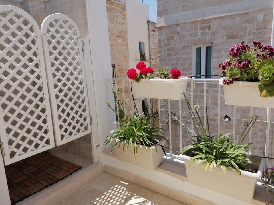 Garden, Solarium, Garden view